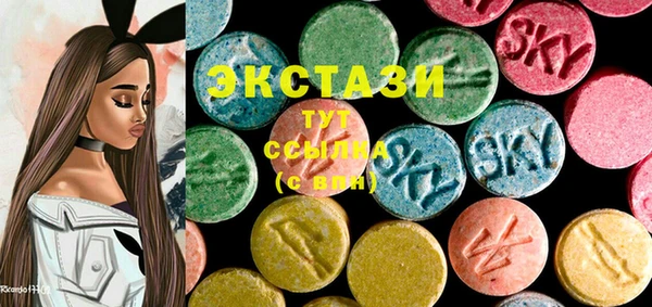 индика Богородицк