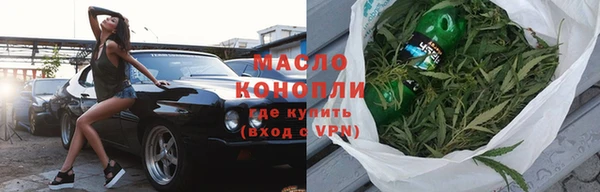 индика Богородицк