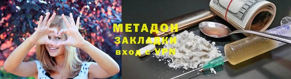 индика Богородицк
