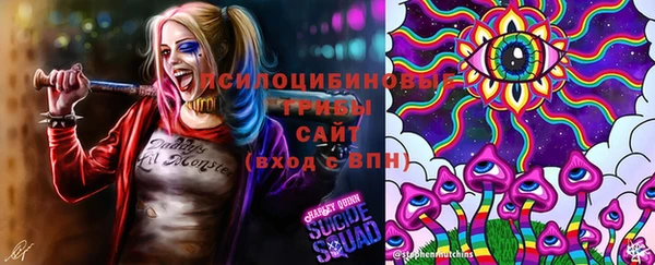 ECSTASY Белоозёрский