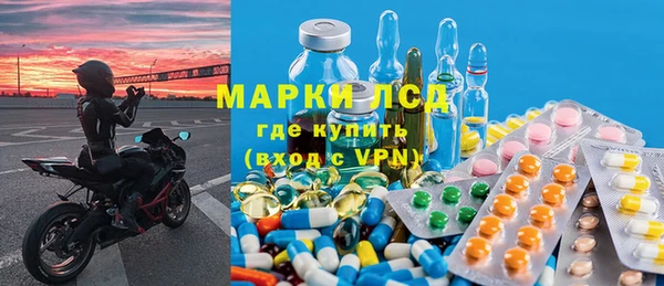 индика Богородицк