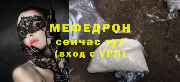 индика Богородицк