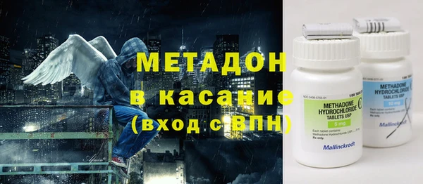 индика Богородицк