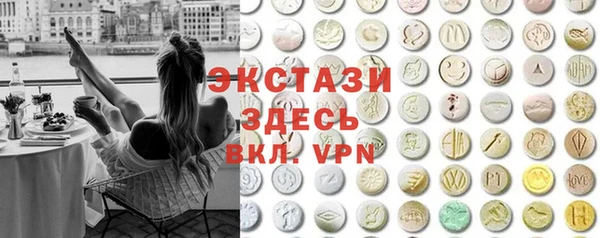 индика Богородицк