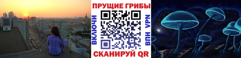 Псилоцибиновые грибы GOLDEN TEACHER  купить  цена  сайты даркнета телеграм  Гулькевичи 